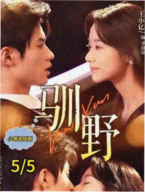 第七次搬家剧集海报